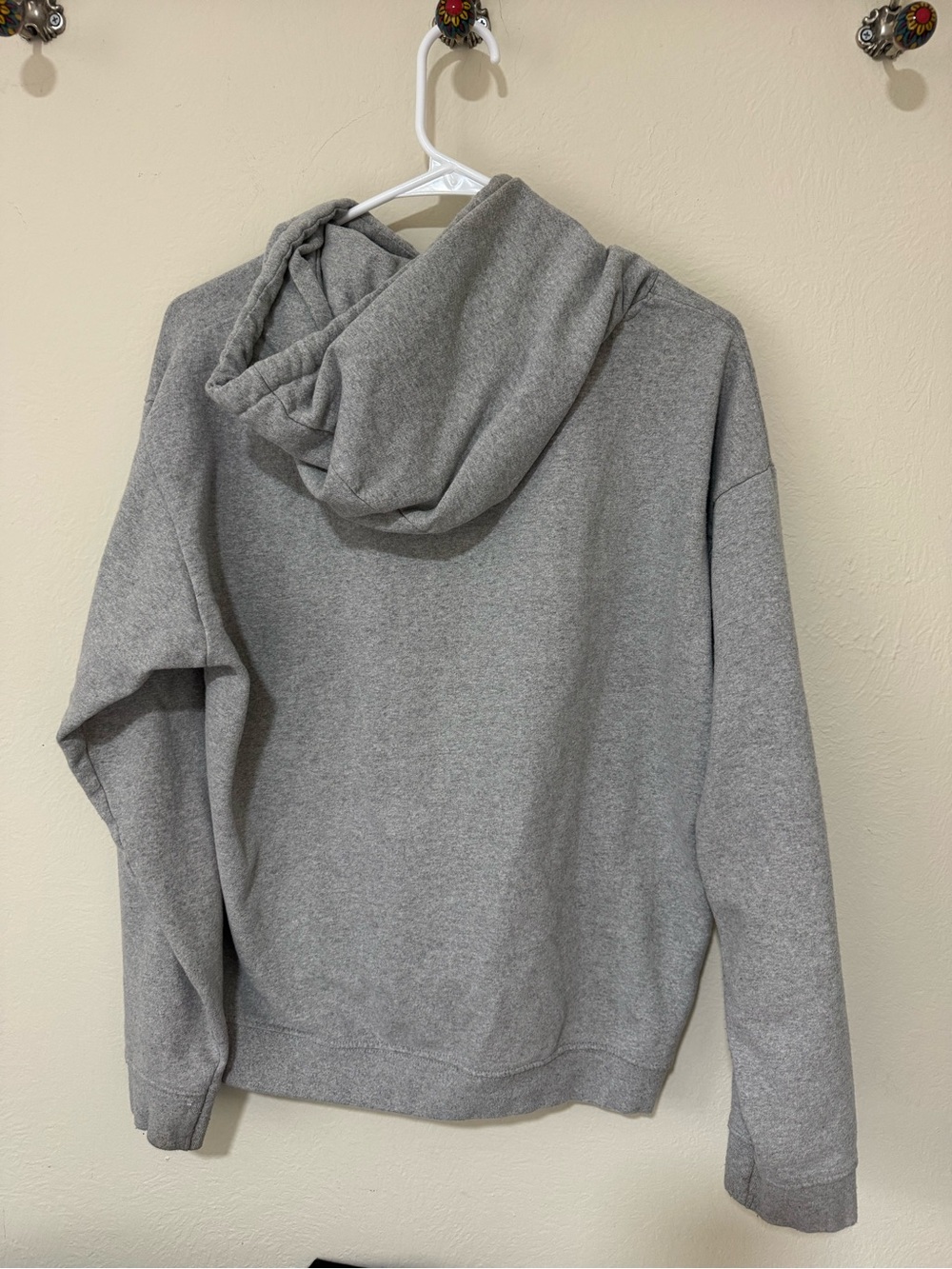 Phoenix Botanic Dessert Gardens Gray Logo Hoodie - Picture 3 of 4